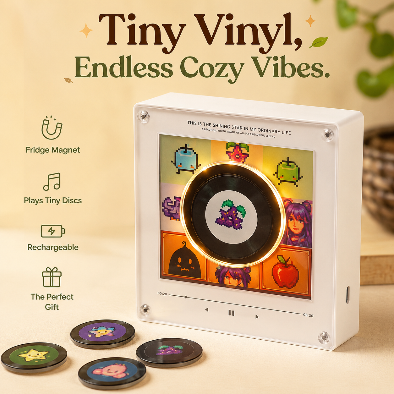 The ValleyVinyl